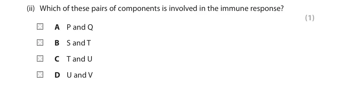June 2024 AS Paper 2, question 5(a)(ii): Which of these pairs of components is involved in the immune response? (1) A P and Q B S and T C T and U D U and V