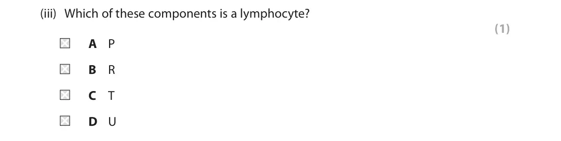 June 2024 AS Paper 2, question 5(a)(iii): Which of these components is a lymphocyte? (1) A P B R C T D U