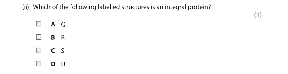 June 2025 AS Paper 2, question 1(a)(ii): Which of the following labelled structures is an integral protein? (1) A Q B R C S D U