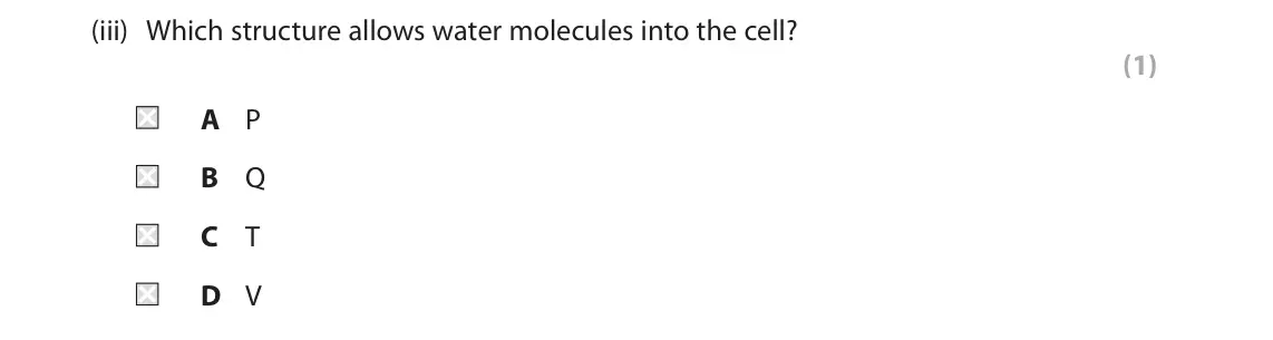 June 2025 AS Paper 2, question 1(a)(iii): Which structure allows water molecules into the cell? (1) A P B Q C T D V