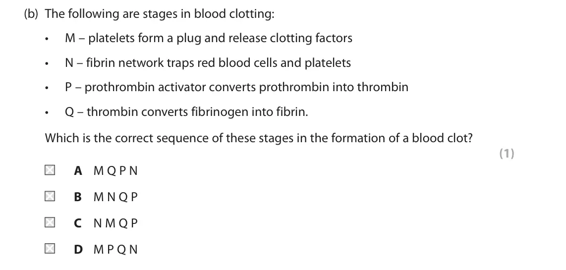 June 2025 AS Paper 2, question 2(b): The following are stages in blood clotting: • M – platelets form a plug and release clotting factors • N – fibrin network traps red blood cells and platelets •