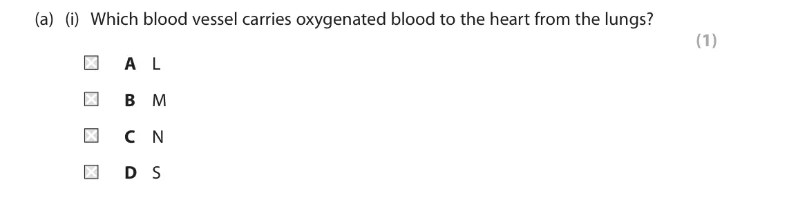 June 2025 AS Paper 2, question 3(a)(i): Which blood vessel carries oxygenated blood to the heart from the lungs? (1) A L B M C N D S