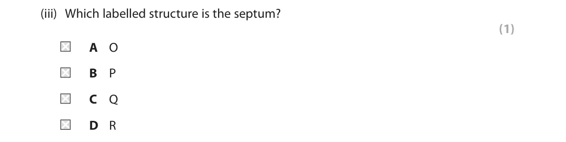 June 2025 AS Paper 2, question 3(a)(iii): Which labelled structure is the septum? (1) A O B P C Q D R