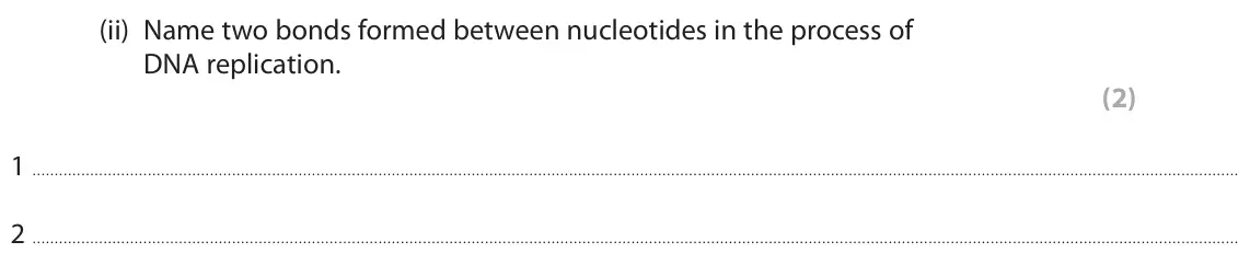 June 2023 AS Paper 1, question 1(a)(ii): Name two bonds formed between nucleotides in the process of DNA replication. (2) 1 2