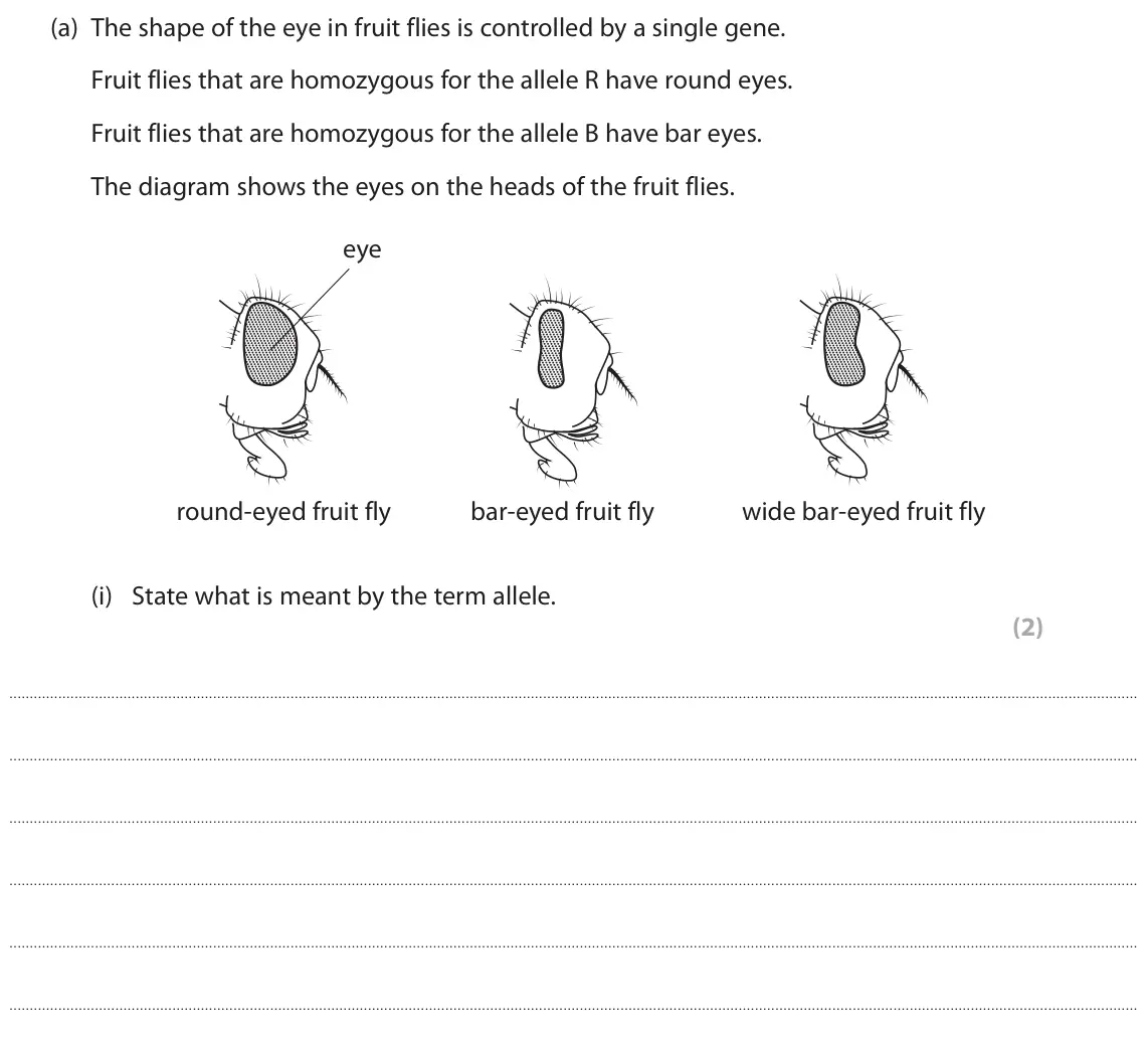 June 2023 AS Paper 1, question 4(a)(i): State what is meant by the term allele. (2)