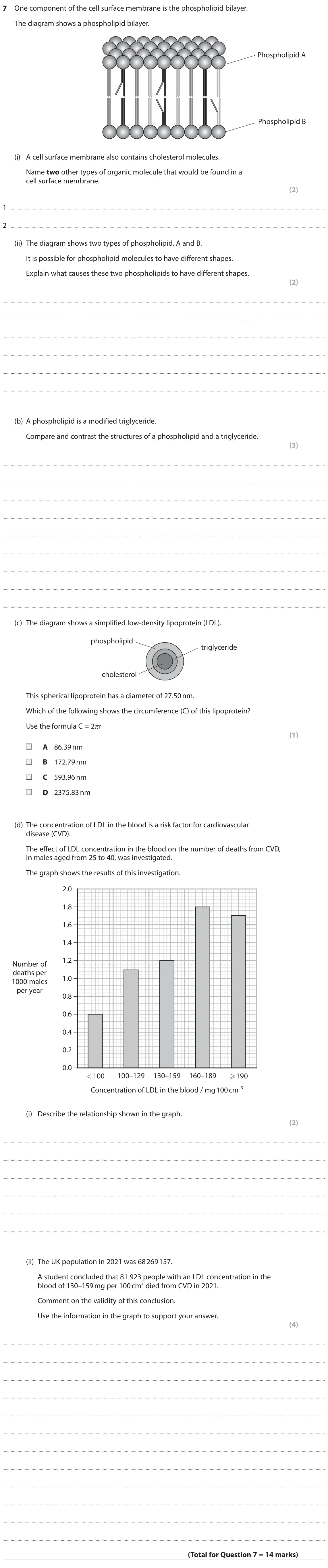 June 2023 AS Paper 1, question 7: One component of the cell surface membrane is the phospholipid bilayer. The diagram shows a phospholipid bilayer. Phospholipid A Phospholipid B (i) A cell surfa