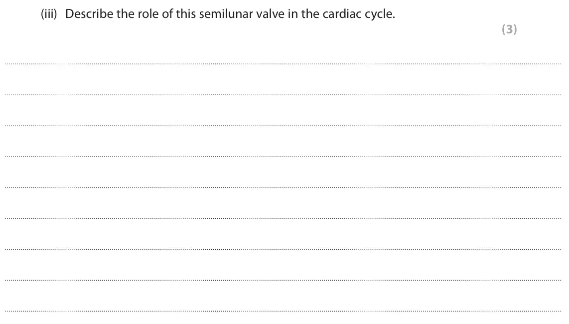 June 2024 AS Paper 1, question 1(a)(iii): Describe the role of this semilunar valve in the cardiac cycle. (3)