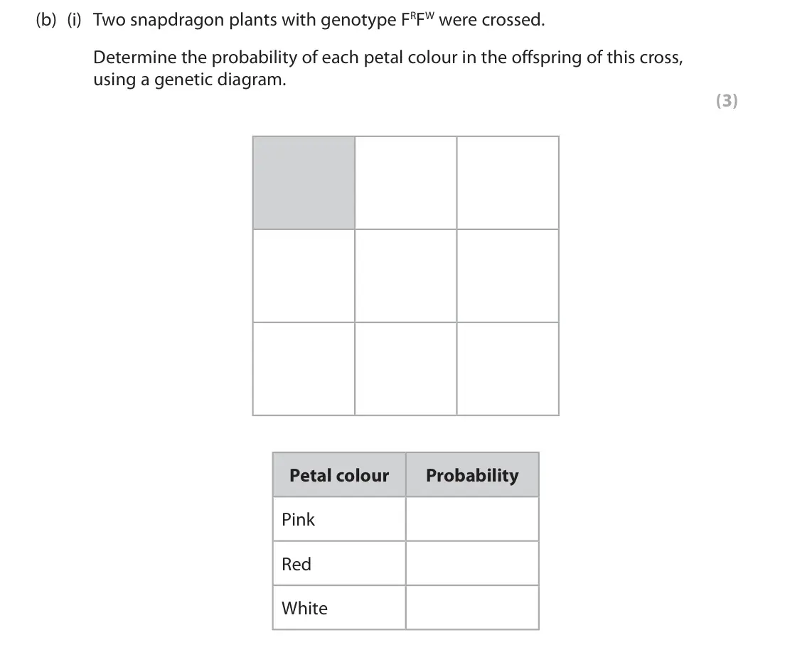 June 2024 AS Paper 1, question 2(b)(i): Two snapdragon plants with genotype FRFW were crossed. Determine the probability of each petal colour in the offspring of this cross, using a genetic diagram. (