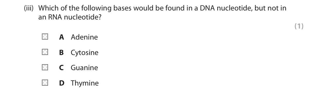 June 2024 AS Paper 1, question 3(a)(iii): Which of the following bases would be found in a DNA nucleotide, but not in an RNA nucleotide? (1) A Adenine B Cytosine C Guanine D Thymine