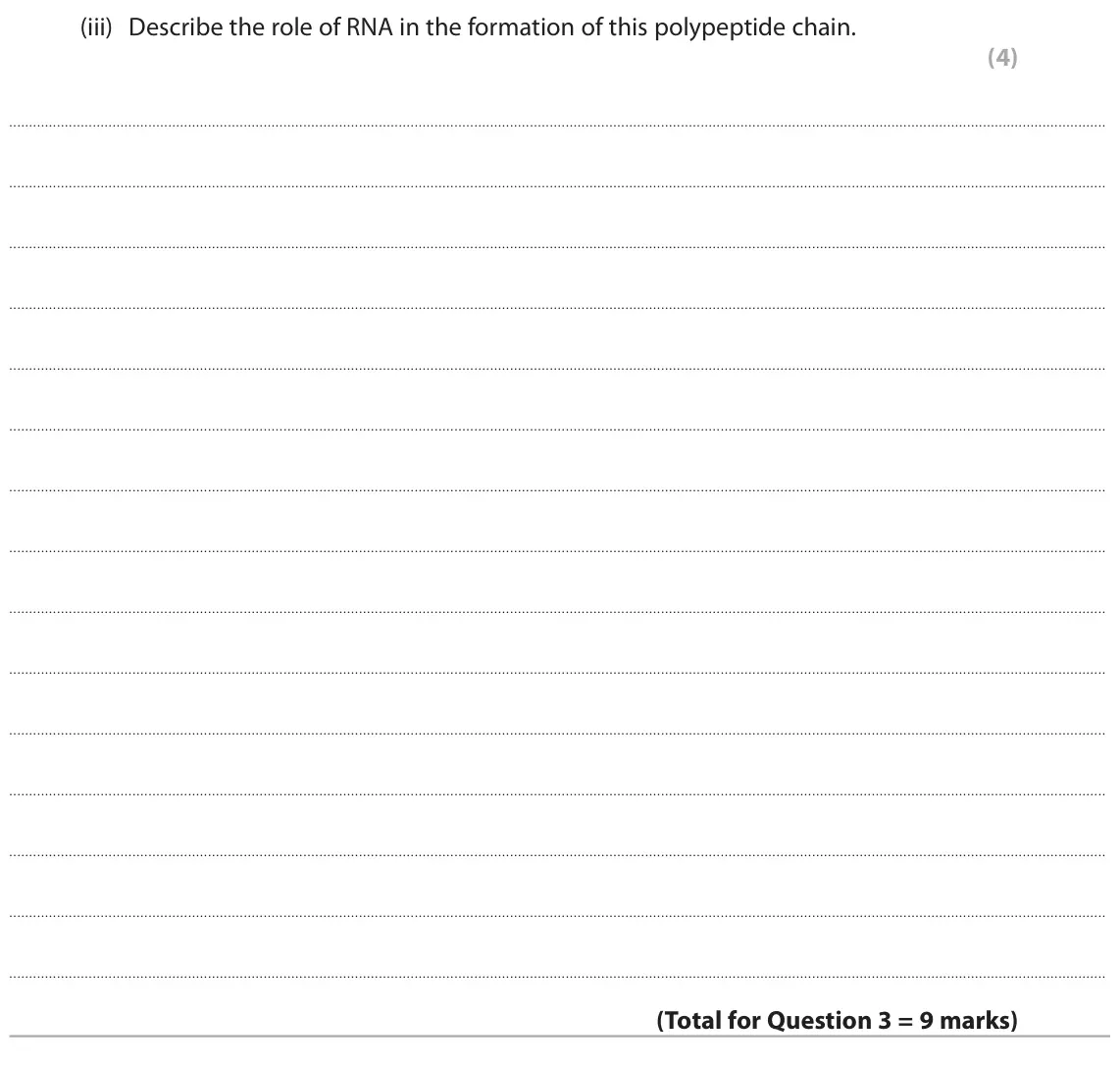 June 2024 AS Paper 1, question 3(b)(iii): Describe the role of RNA in the formation of this polypeptide chain. (4)