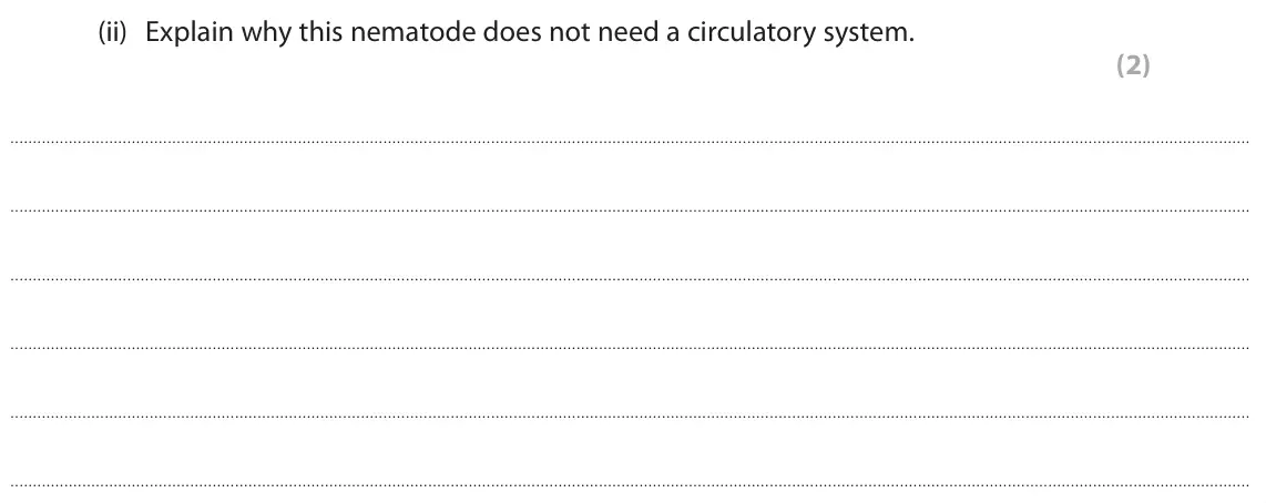 June 2024 AS Paper 1, question 8(a)(ii): Explain why this nematode does not need a circulatory system. (2)