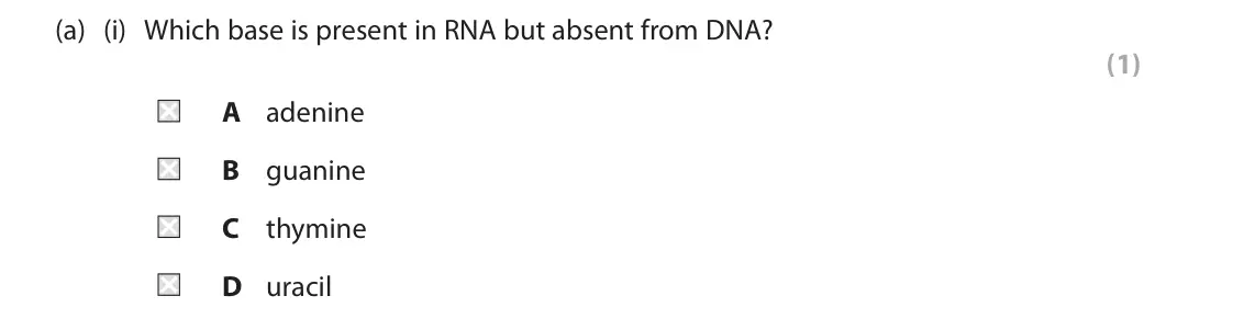 June 2025 AS Paper 1, question 1(a)(i): Which base is present in RNA but absent from DNA? (1) A adenine B guanine C thymine D uracil