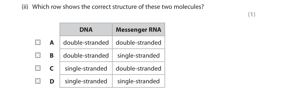 June 2025 AS Paper 1, question 1(a)(ii): Which row shows the correct structure of these two molecules? (1) DNA Messenger RNA A double‑stranded double‑stranded B double‑stranded single‑stranded C single