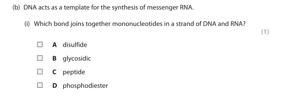 June 2025 AS Paper 1, question 1(b)(i): Which bond joins together mononucleotides in a strand of DNA and RNA? (1) A disulfide B glycosidic C peptide D phosphodiester