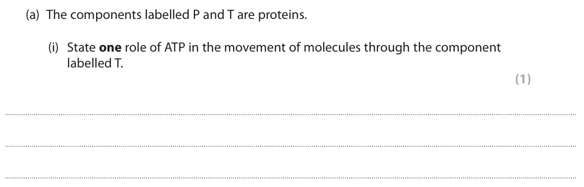 June 2025 AS Paper 1, question 2(a)(i): State one role of ATP in the movement of molecules through the component labelled T. (1)
