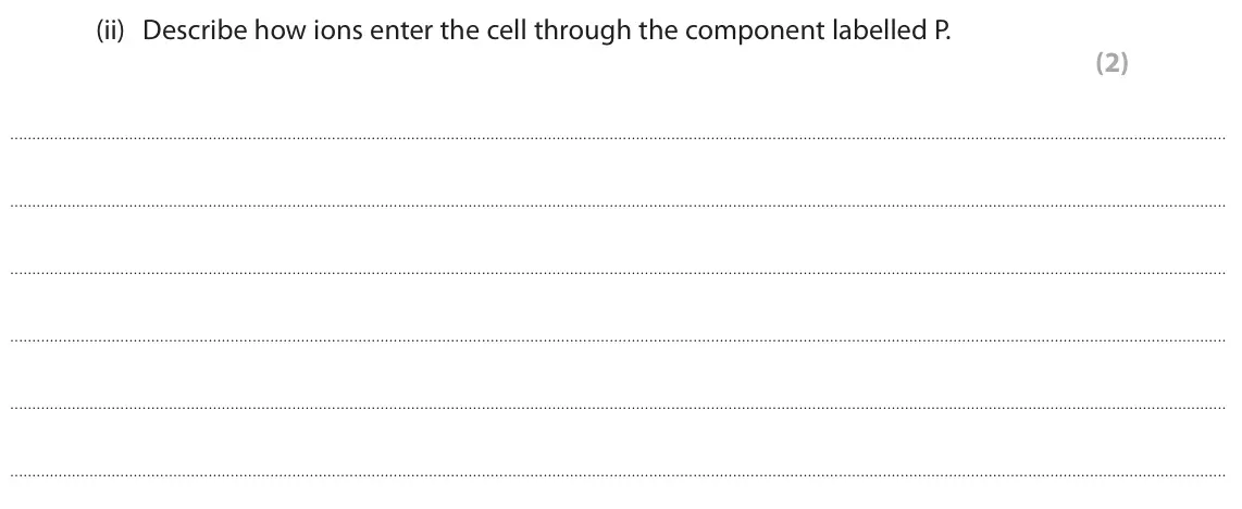 June 2025 AS Paper 1, question 2(a)(ii): Describe how ions enter the cell through the component labelled P. (2)