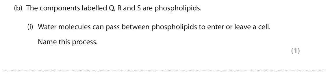 June 2025 AS Paper 1, question 2(b)(i): Water molecules can pass between phospholipids to enter or leave a cell. Name this process. (1)