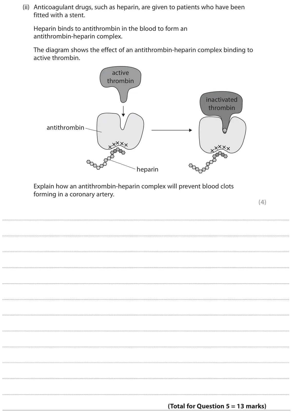 June 2025 AS Paper 1, question 5(b)(ii): Anticoagulant drugs, such as heparin, are given to patients who have been fitted with a stent. Heparin binds to antithrombin in the blood to form an antithrombi