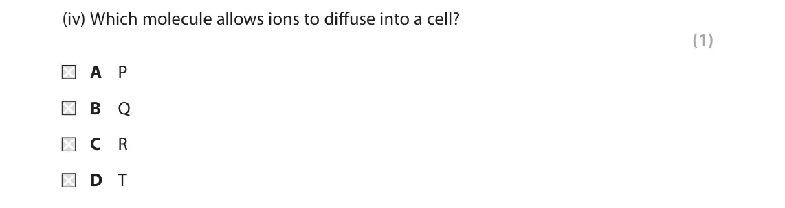 October 2020 AS Paper 1, question 1(a)(iv): Which molecule allows ions to diffuse into a cell? (1) A P B Q C R D T