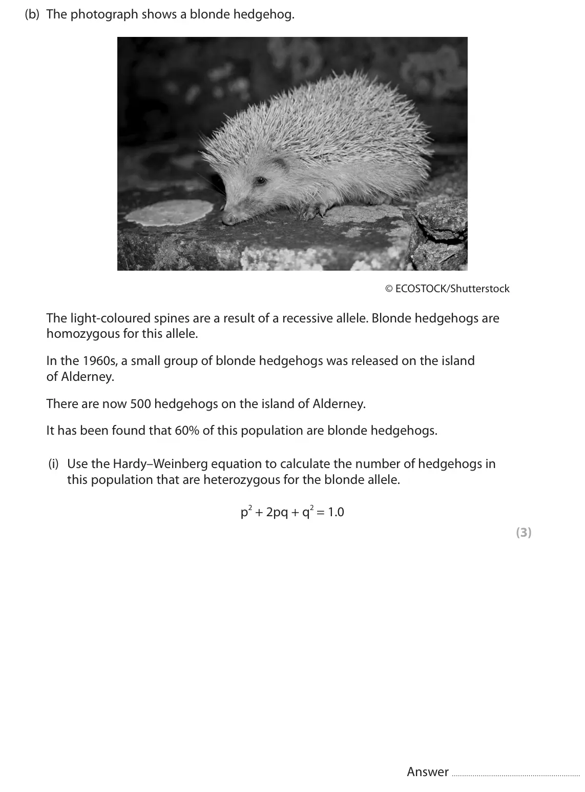 June 2023 AS Paper 2, question 3(b)(i): Use the Hardy–Weinberg equation to calculate the number of hedgehogs in this population that are heterozygous for the blonde allele. p2 + 2pq + q2 = 1.0 (3) Ans