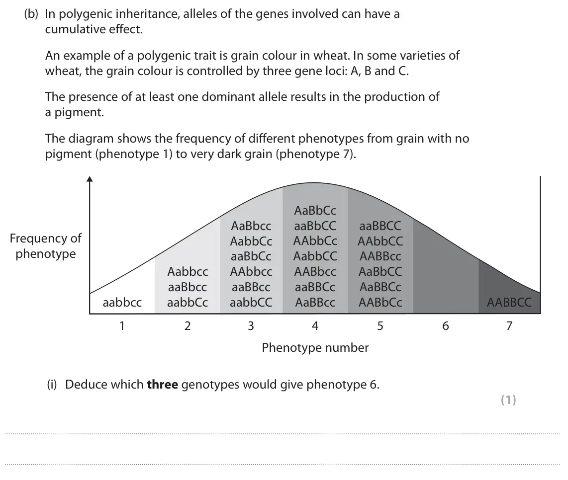 June 2023 AS Paper 2, question 4(b)(i): Deduce which three genotypes would give phenotype 6. (1)