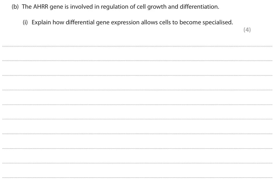 June 2023 AS Paper 2, question 5(b)(i): Explain how differential gene expression allows cells to become specialised. (4)