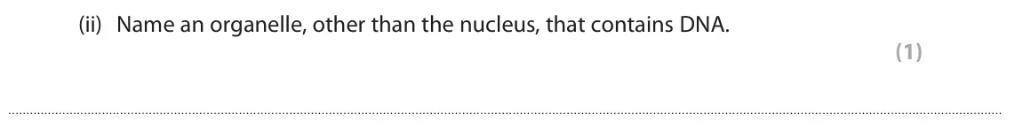 June 2024 AS Paper 2, question 2(a)(ii): Name an organelle, other than the nucleus, that contains DNA. (1)