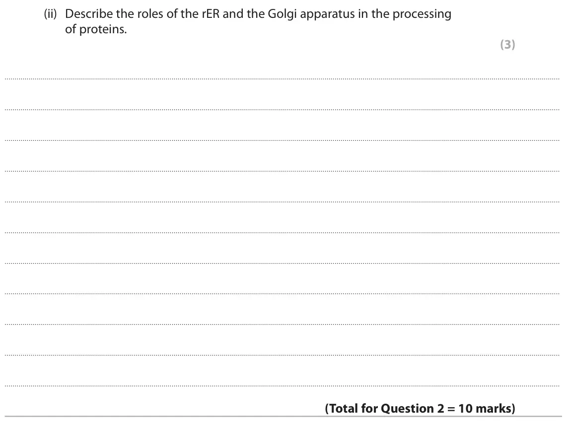 June 2024 AS Paper 2, question 2(b)(ii): Describe the roles of the rER and the Golgi apparatus in the processing of proteins. (3)
