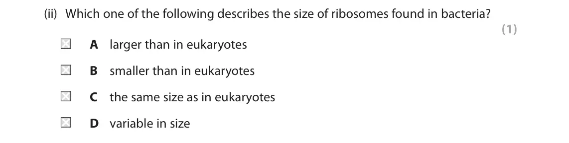 June 2024 AS Paper 2, question 4(a)(ii): Which one of the following describes the size of ribosomes found in bacteria? (1) A larger than in eukaryotes B smaller than in eukaryotes C the same size as in