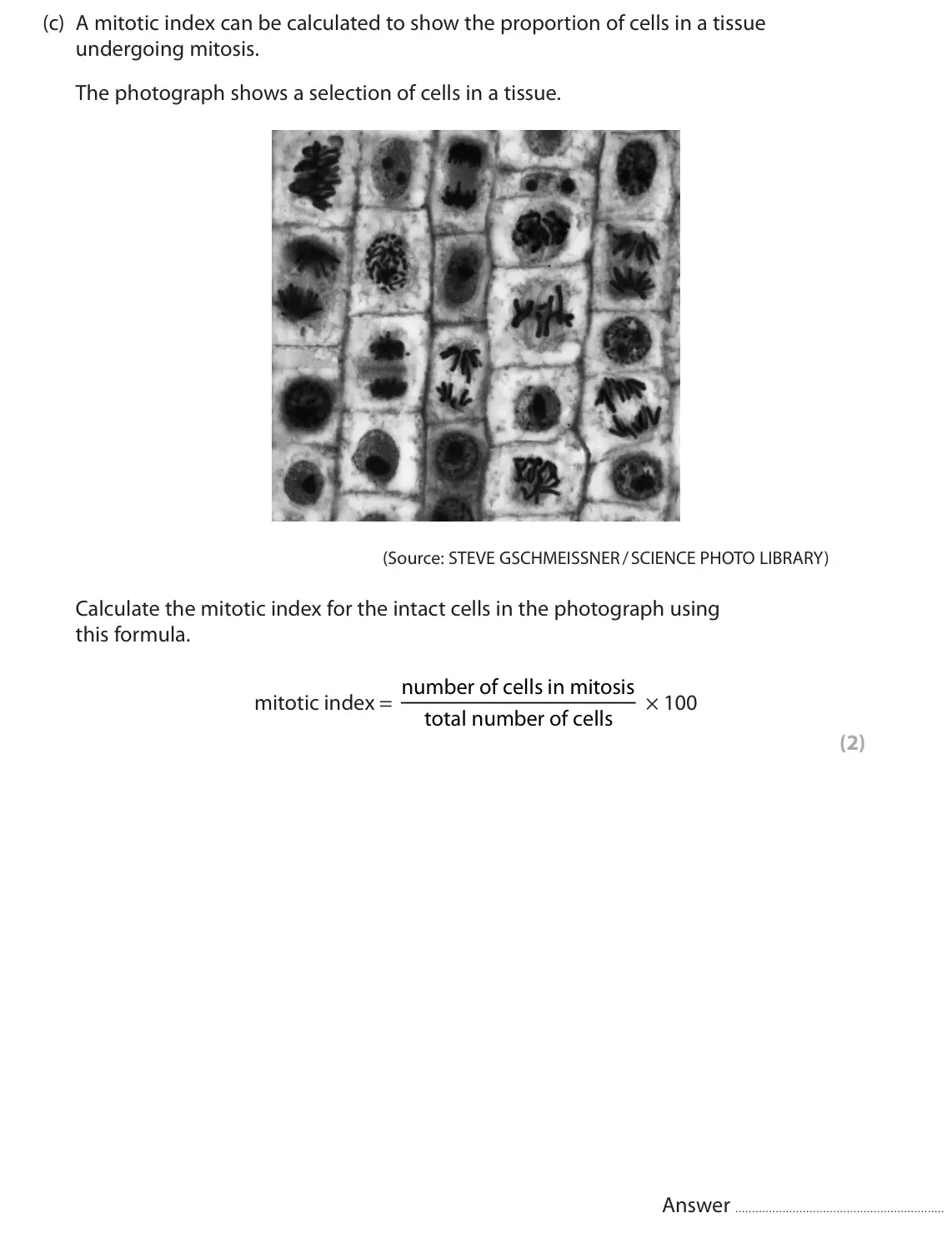 June 2024 AS Paper 2, question 7(c): A mitotic index can be calculated to show the proportion of cells in a tissue undergoing mitosis. The photograph shows a selection of cells in a tissue. (Source