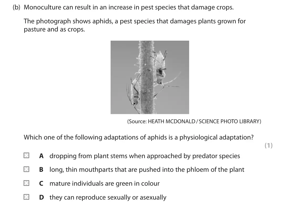 June 2024 AS Paper 2, question 8(b): Monoculture can result in an increase in pest species that damage crops. The photograph shows aphids, a pest species that damages plants grown for pasture and a