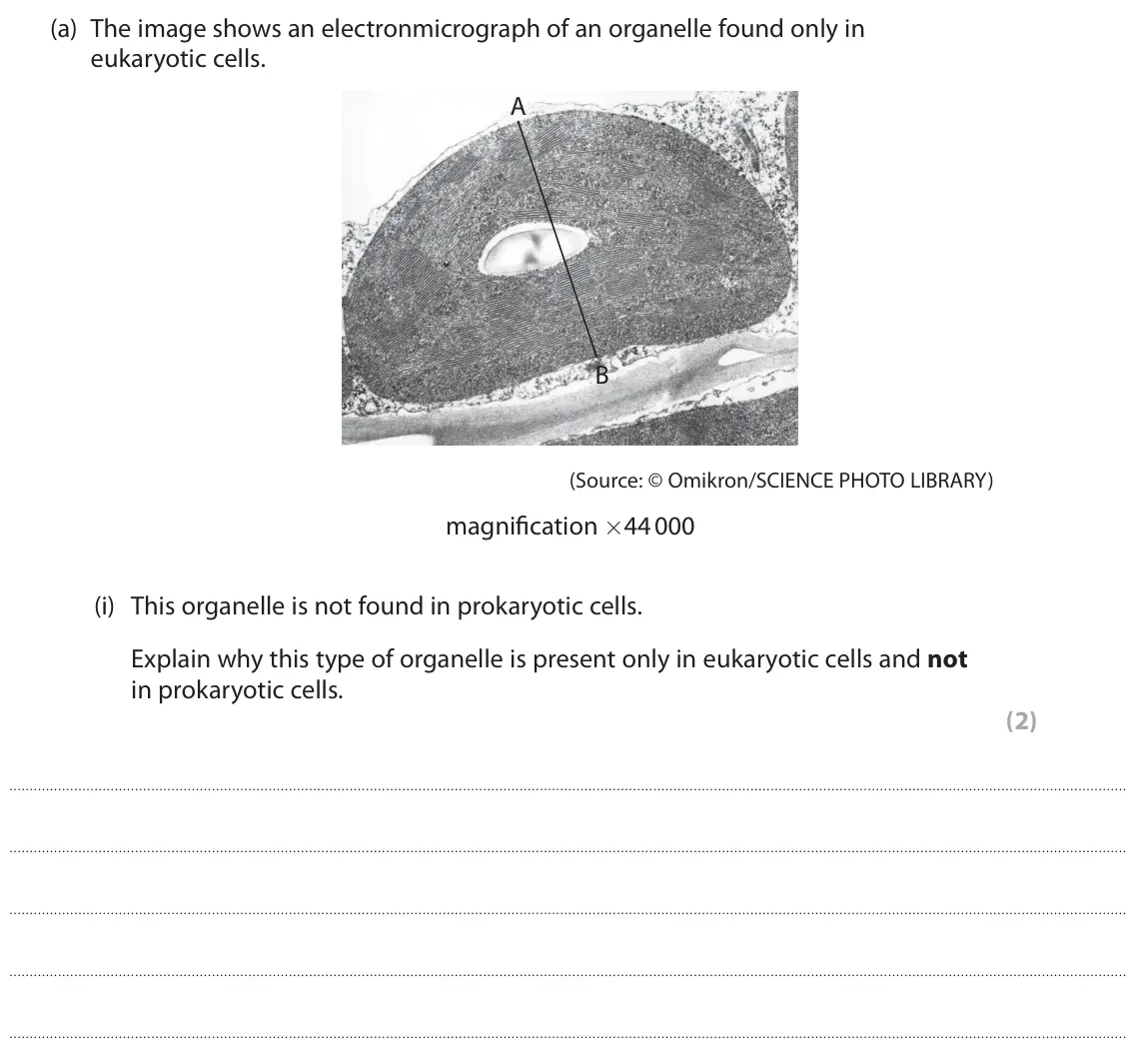 June 2025 AS Paper 2, question 1(a)(i): This organelle is not found in prokaryotic cells. Explain why this type of organelle is present only in eukaryotic cells and not in prokaryotic cells. (2)