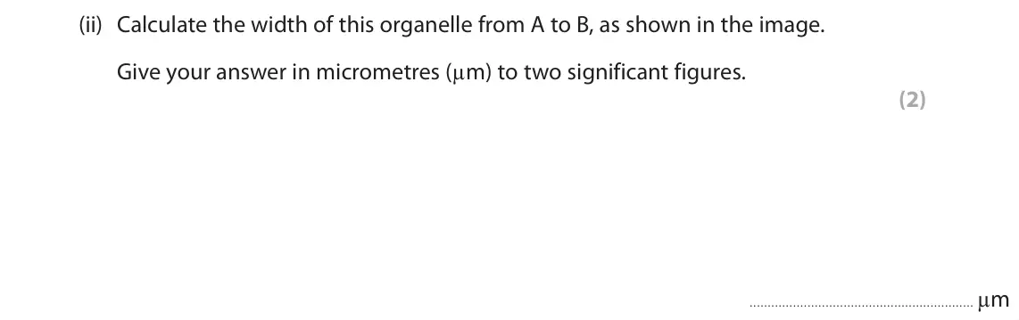 June 2025 AS Paper 2, question 1(a)(ii): Calculate the width of this organelle from A to B, as shown in the image. Give your answer in micrometres (µm) to two significant figures. (2) µm