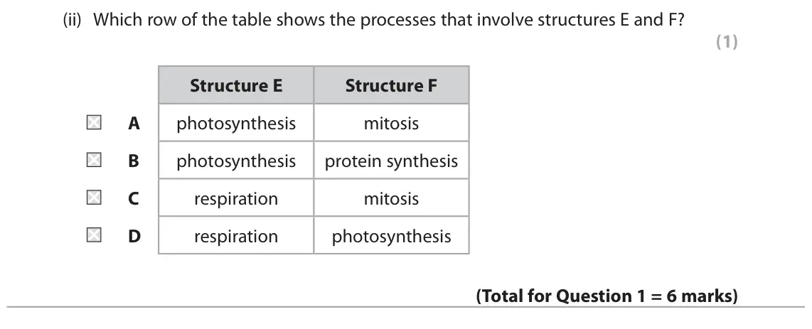 June 2025 AS Paper 2, question 1(b)(ii): Which row of the table shows the processes that involve structures E and F? (1) Structure E Structure F A photosynthesis mitosis B photosynthesis protein synthe