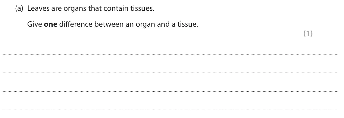 June 2025 AS Paper 2, question 3(a): Leaves are organs that contain tissues. Give one difference between an organ and a tissue. (1)
