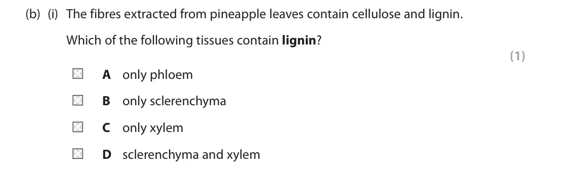June 2025 AS Paper 2, question 3(b)(i): The fibres extracted from pineapple leaves contain cellulose and lignin. Which of the following tissues contain lignin? (1) A only phloem B only sclerenchyma C 