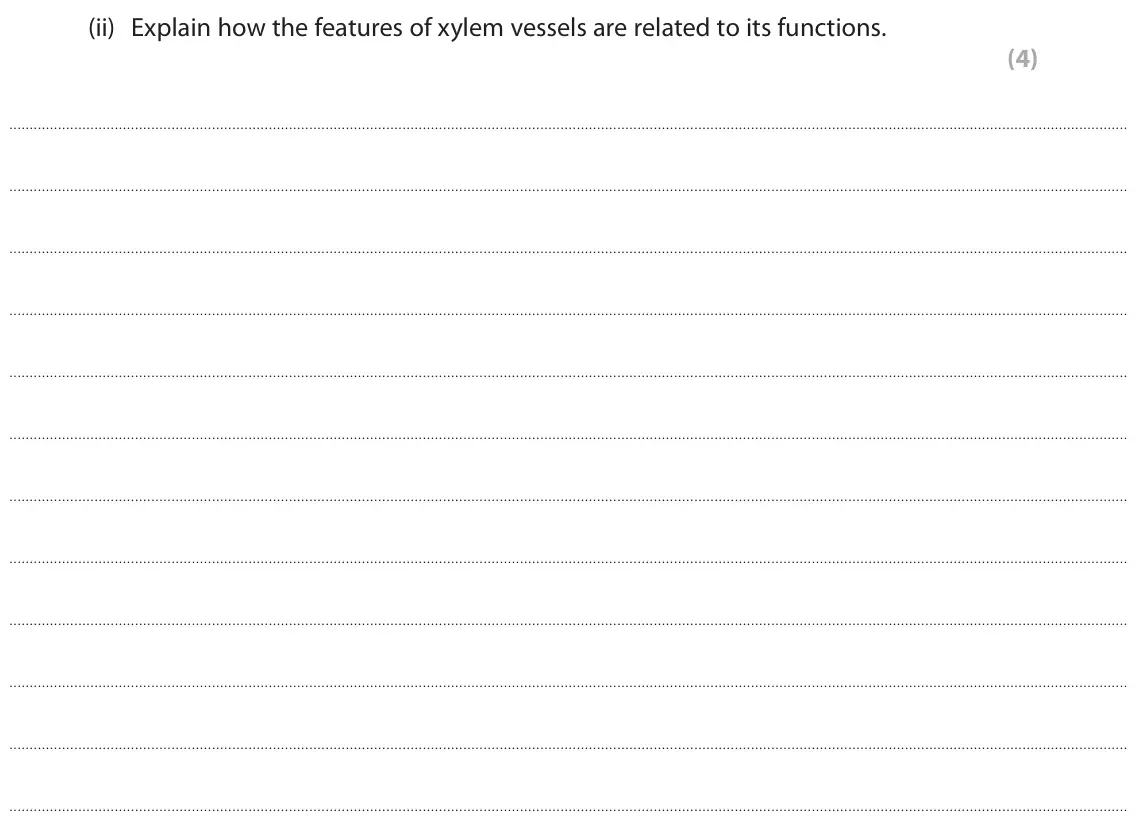 June 2025 AS Paper 2, question 3(b)(ii): Explain how the features of xylem vessels are related to its functions. (4)
