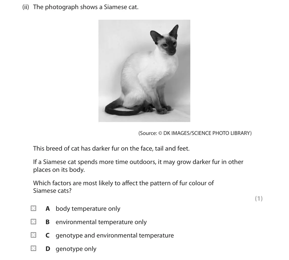 June 2025 AS Paper 2, question 6(a)(ii): The photograph shows a Siamese cat. (Source: © DK IMAGES/SCIENCE PHOTO LIBRARY) This breed of cat has darker fur on the face, tail and feet. If a Siamese cat sp