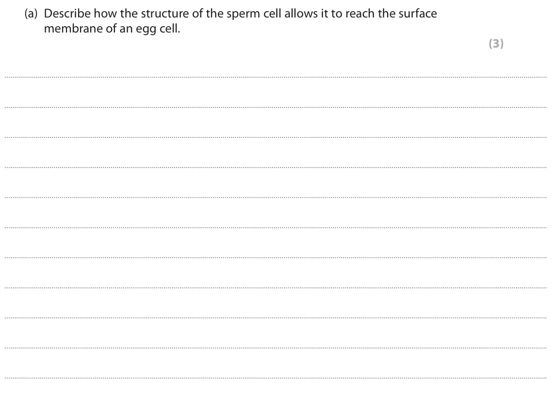 June 2025 AS Paper 2, question 7(a): Describe how the structure of the sperm cell allows it to reach the surface membrane of an egg cell. (3)