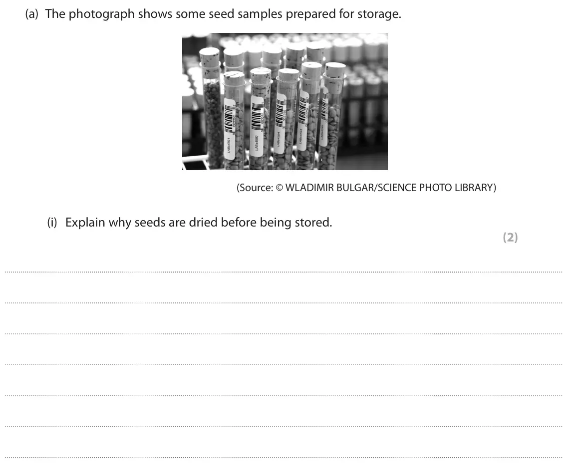 June 2025 AS Paper 2, question 8(a)(i): Explain why seeds are dried before being stored. (2)