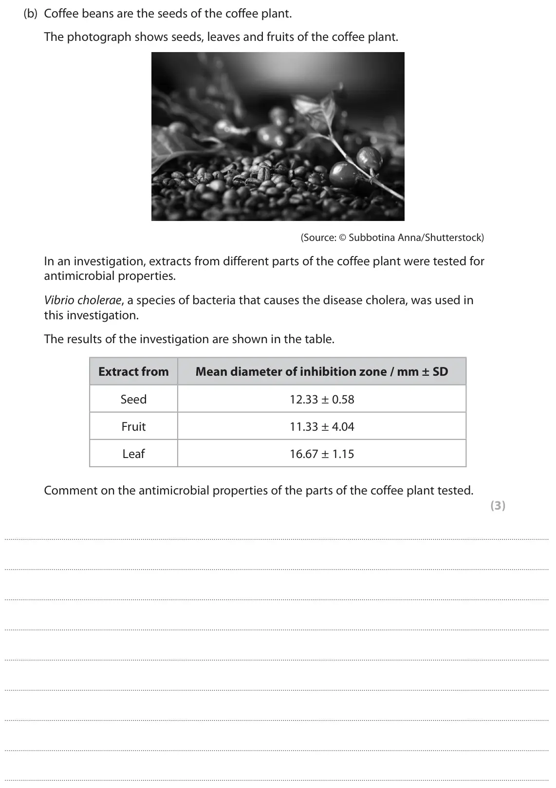 June 2025 AS Paper 2, question 8(b): Coffee beans are the seeds of the coffee plant. The photograph shows seeds, leaves and fruits of the coffee plant. (Source: © Subbotina Anna/Shutterstock) In an