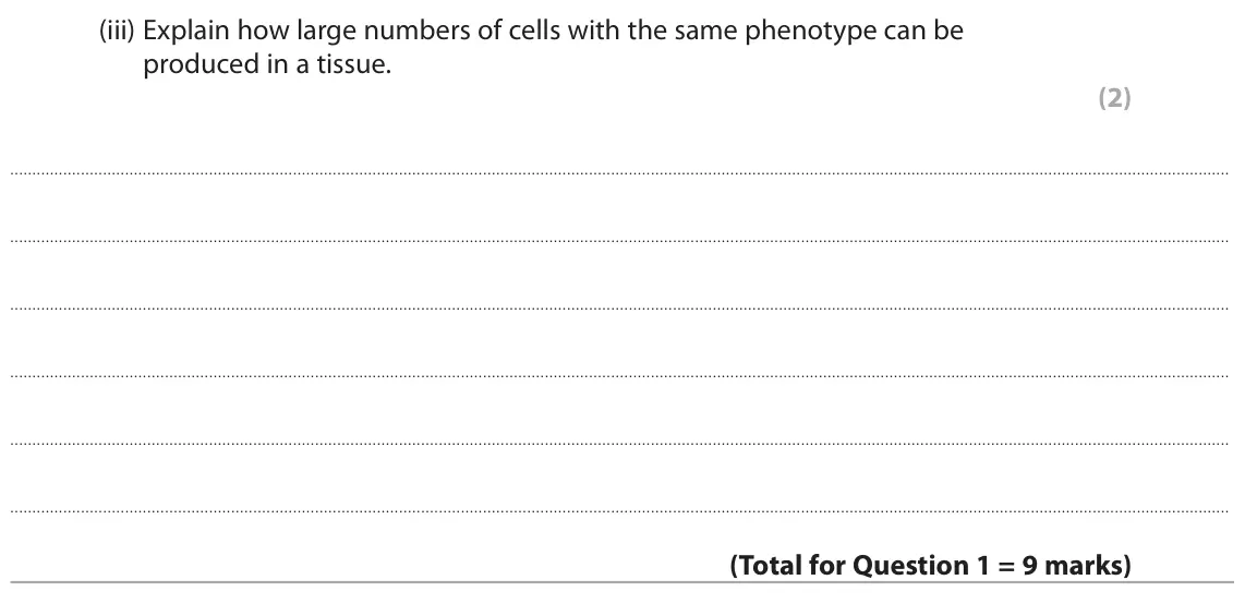 November 2021 AS Paper 2, question 1(b)(iii): Explain how large numbers of cells with the same phenotype can be produced in a tissue. (2)