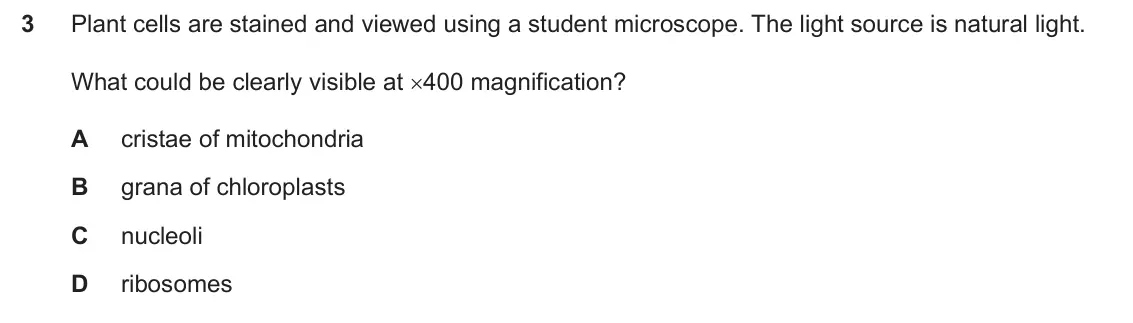 Specimen Paper 1, question 3: Plant cells are stained and viewed using a student microscope. The light source is natural light. What could be clearly visible at u400 magnification? A cristae