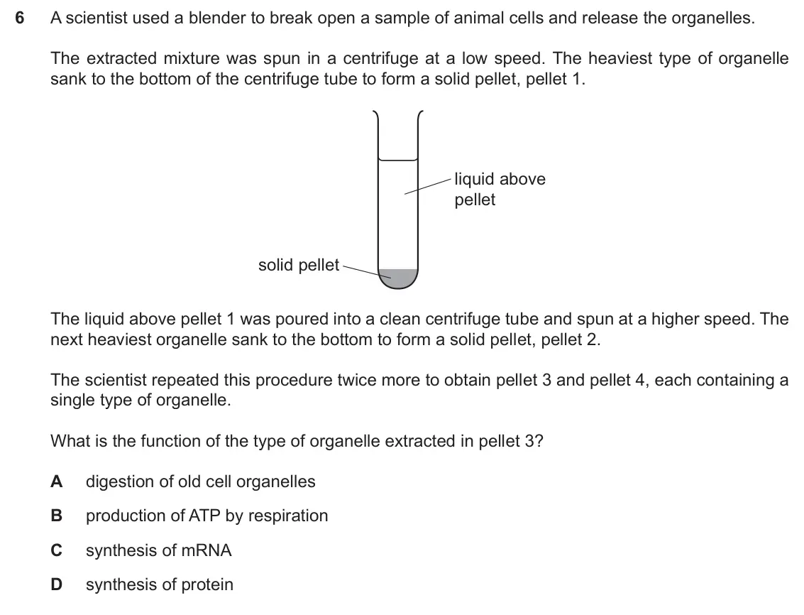 Specimen Paper 1, question 6: A scientist used a blender to break open a sample of animal cells and release the organelles. The extracted mixture was spun in a centrifuge at a low speed. The