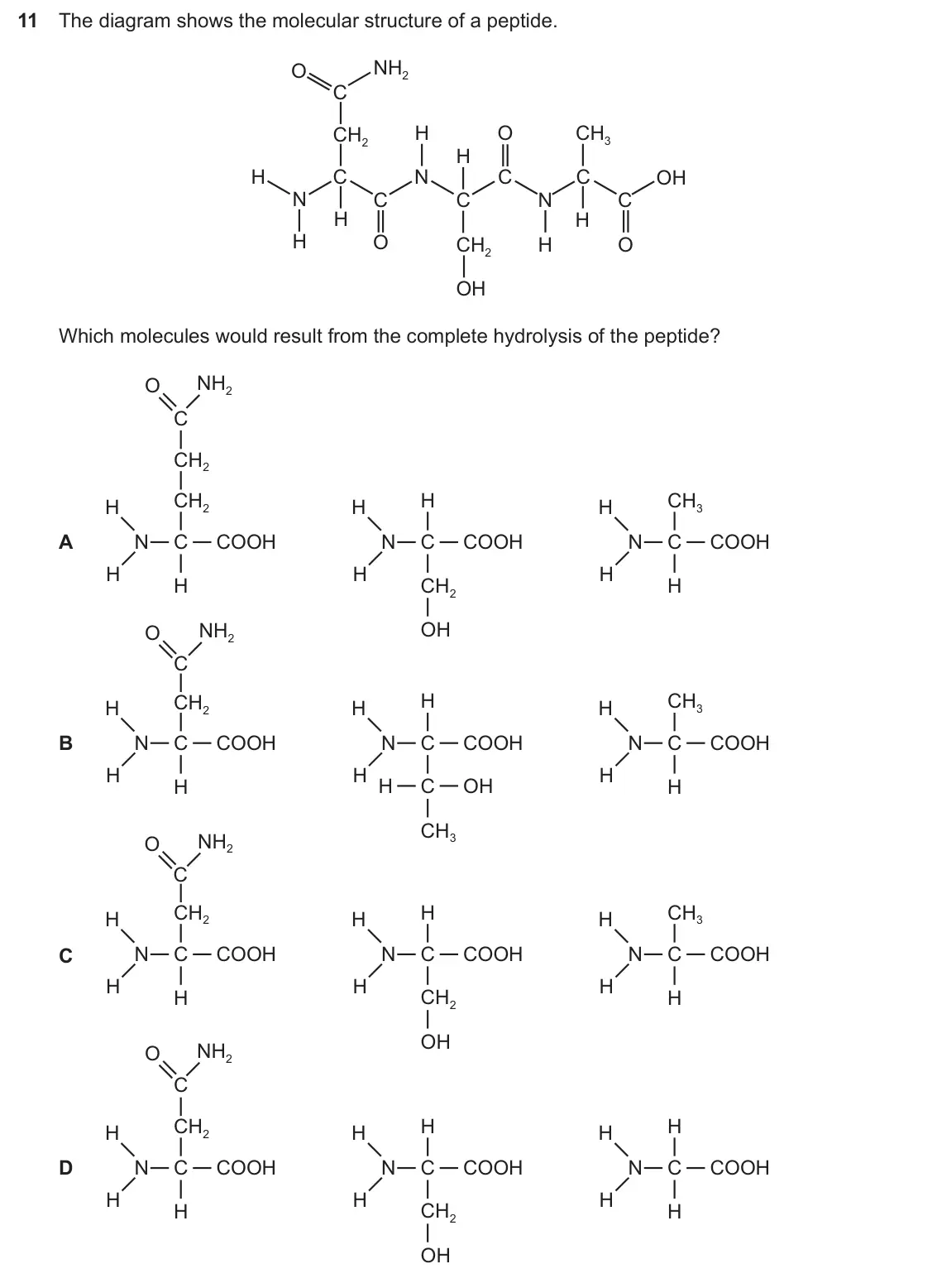 Specimen Paper 1, question 11: The diagram shows the molecular structure of a peptide. O NH2 C CH2 H O CH3 H H C N C C OH N C C N C H H H O CH2 H O OH Which molecules would result from the co