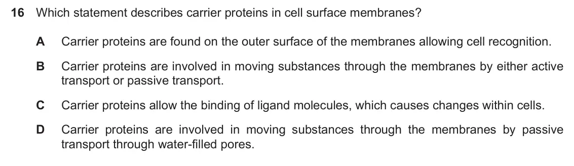 Specimen Paper 1, question 16: Which statement describes carrier proteins in cell surface membranes? A Carrier proteins are found on the outer surface of the membranes allowing cell recogniti