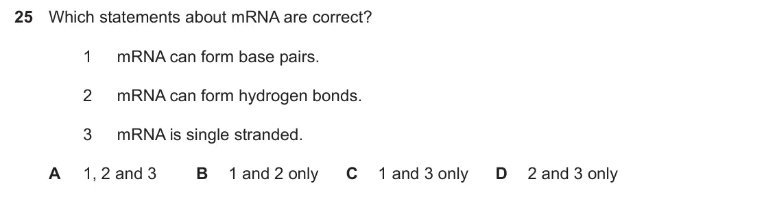 Specimen Paper 1, question 25: Which statements about mRNA are correct? 1 mRNA can form base pairs. 2 mRNA can form hydrogen bonds. 3 mRNA is single stranded. A 1, 2 and 3 B 1 and 2 only C 1 