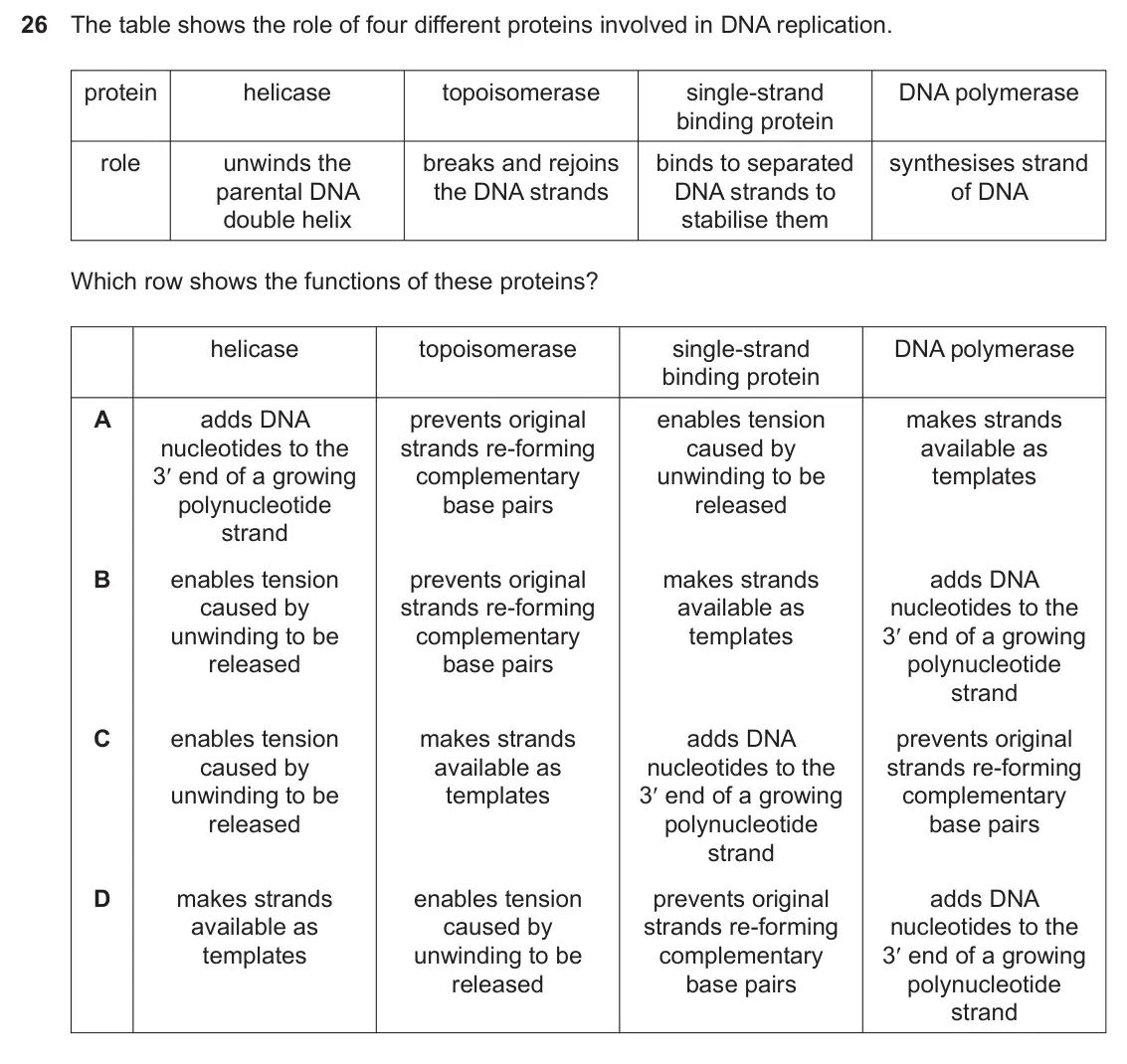 Specimen Paper 1, question 26: The table shows the role of four different proteins involved in DNA replication. protein helicase topoisomerase single-strand DNA polymerase binding protein rol