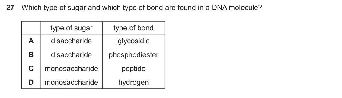 Specimen Paper 1, question 27: Which type of sugar and which type of bond are found in a DNA molecule? type of sugar type of bond A disaccharide glycosidic B disaccharide phosphodiester C mon