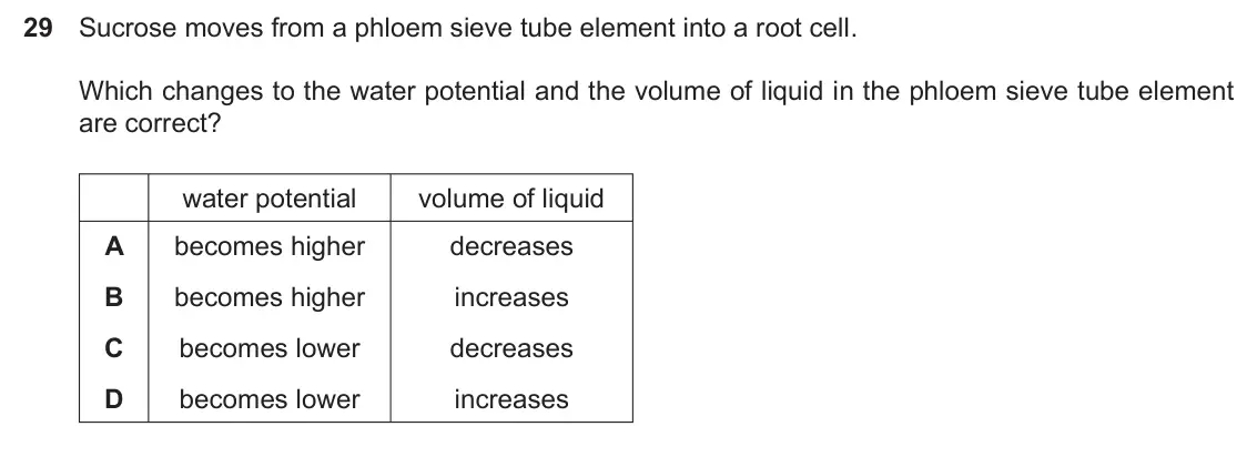 Specimen Paper 1, question 29: Sucrose moves from a phloem sieve tube element into a root cell. Which changes to the water potential and the volume of liquid in the phloem sieve tube element 